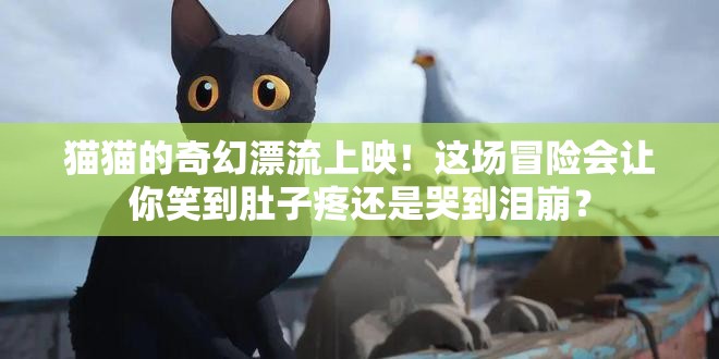 猫猫的奇幻漂流上映！这场冒险会让你笑到肚子疼还是哭到泪崩？