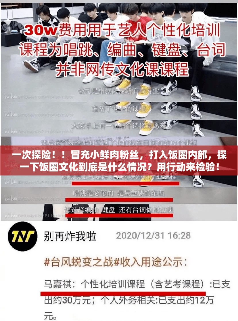 探一下饭圈文化到底是什么情况？用行动来检验！