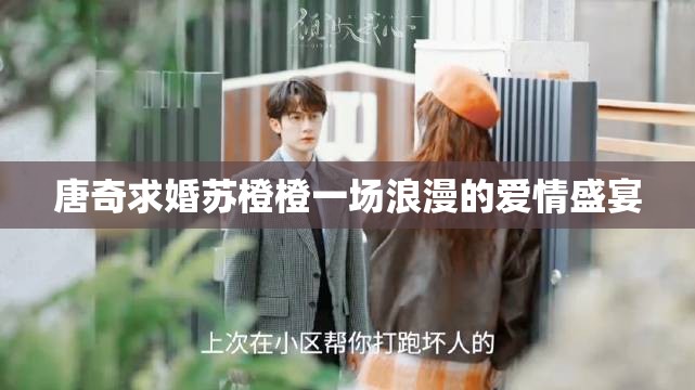 澳门 第11页