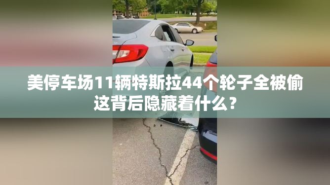 美停车场11辆特斯拉44个轮子全被偷这背后隐藏着什么？