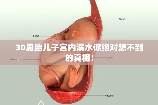 2025年3月 第129页