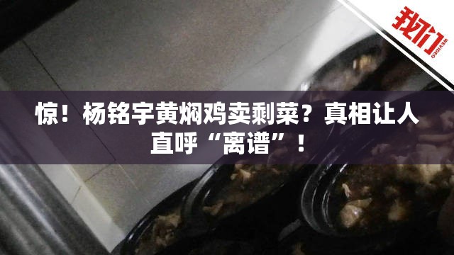 惊！杨铭宇黄焖鸡卖剩菜？真相让人直呼“离谱”！