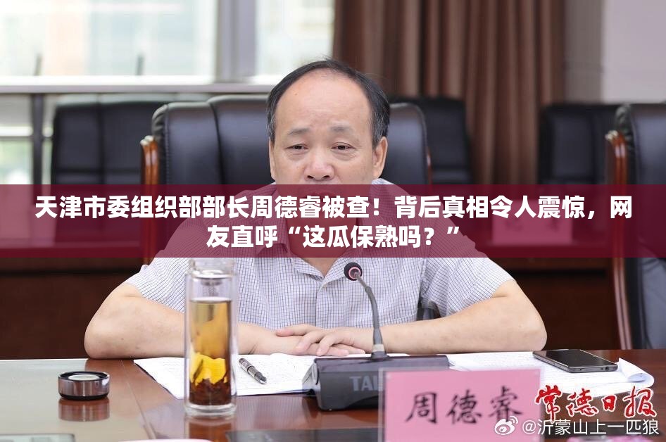 天津市委组织部部长周德睿被查！背后真相令人震惊，网友直呼“这瓜保熟吗？”