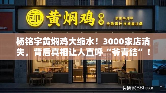 杨铭宇黄焖鸡大缩水！3000家店消失，背后真相让人直呼“爷青结”！