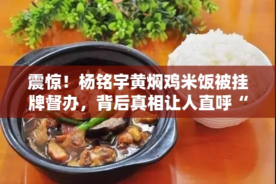 杨铭宇黄焖鸡米饭被挂牌督办