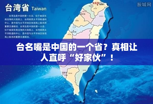 台名嘴是中国的一个省？真相让人直呼“好家伙”！