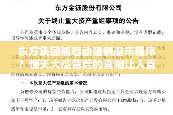 东方集团被启动强制退市程序？惊天大瓜背后的真相让人直呼“好家伙”！