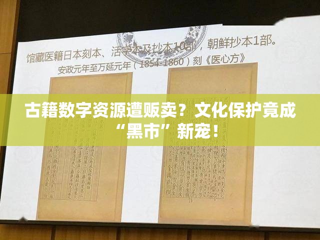 古籍数字资源遭贩卖？文化保护竟成“黑市”新宠！