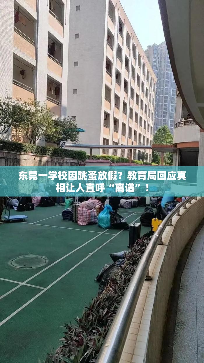 东莞一学校因跳蚤放假？教育局回应真相让人直呼“离谱”！