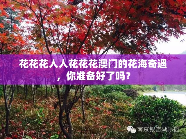 花花花人人花花花澳门的花海奇遇，你准备好了吗？