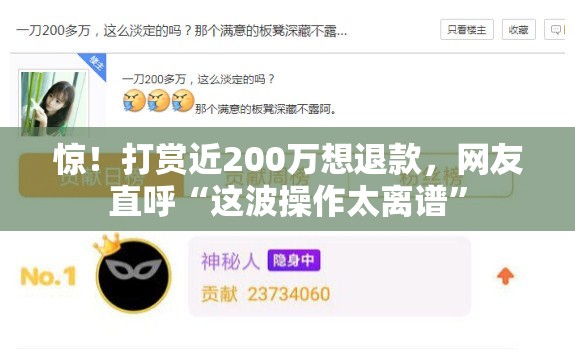 打赏近200万想退款