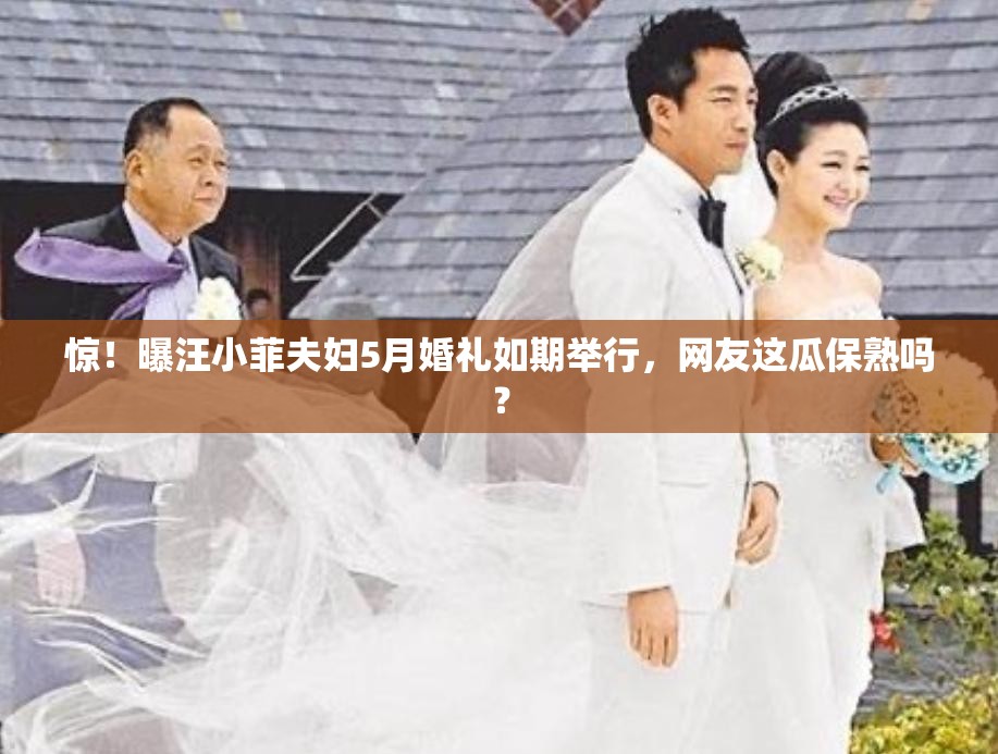 惊！曝汪小菲夫妇5月婚礼如期举行，网友这瓜保熟吗？